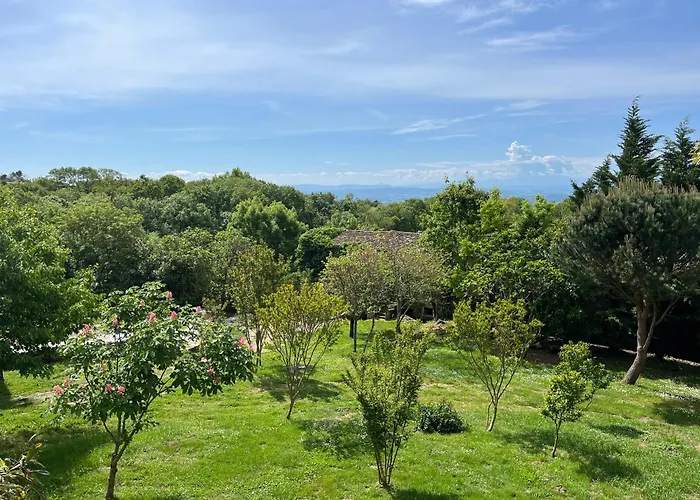 Domaine Riplou - Avec Piscine Tatil Evi *